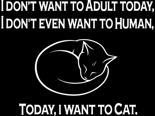 (image for) Today I Want to Cat T-shirt