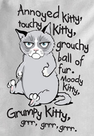 (image for) Grumpy Cat Grr Grr Grr Big Bang Theory Parody T-shirt