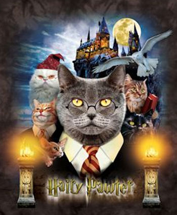 (image for) Harry Pawter T-Shirt