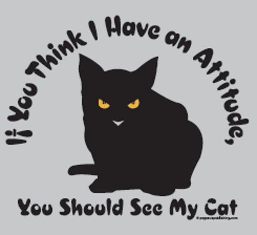 (image for) If You Think I Have an Attitude Cat T-Shirt