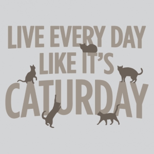 (image for) Live Every Day Like It's Caturday T-Shirt