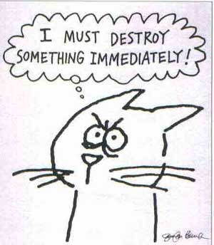 (image for) Must Destroy Something Immediately Cat T-Shirt