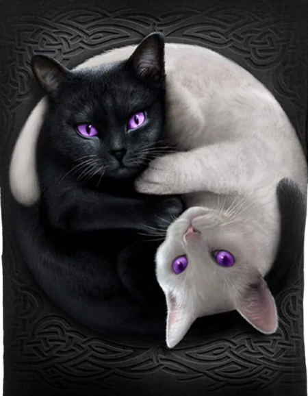 (image for) Yin/Yang Color Cat T-Shirt