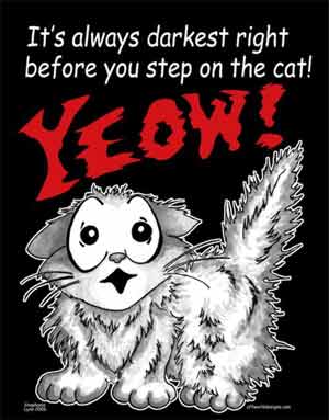 (image for) It's Always Darkest Before You Step on the Cat T-Shirt